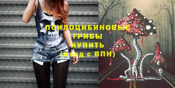ПСИЛОЦИБИНОВЫЕ ГРИБЫ Богородск
