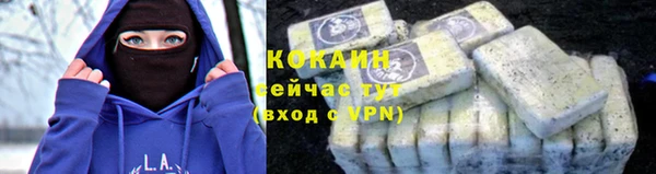 ПСИЛОЦИБИНОВЫЕ ГРИБЫ Богородск