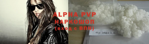 ПСИЛОЦИБИНОВЫЕ ГРИБЫ Богданович