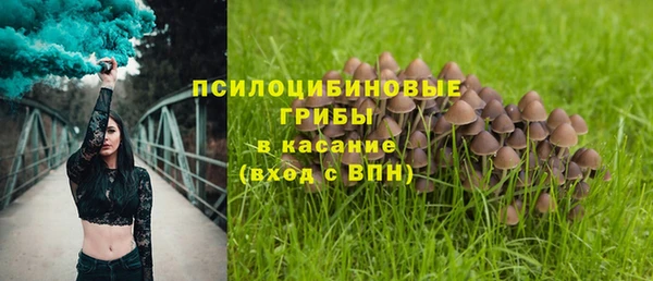 ПСИЛОЦИБИНОВЫЕ ГРИБЫ Богданович