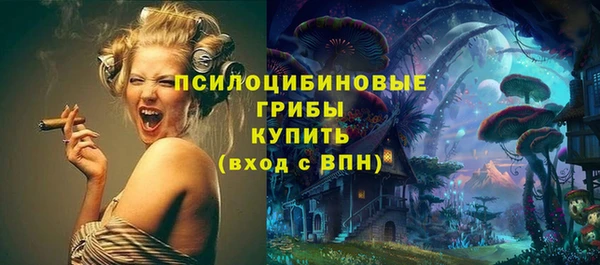 ПСИЛОЦИБИНОВЫЕ ГРИБЫ Богородск