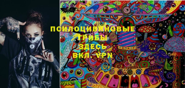 ПСИЛОЦИБИНОВЫЕ ГРИБЫ Богородск