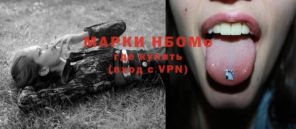 ПСИЛОЦИБИНОВЫЕ ГРИБЫ Богданович